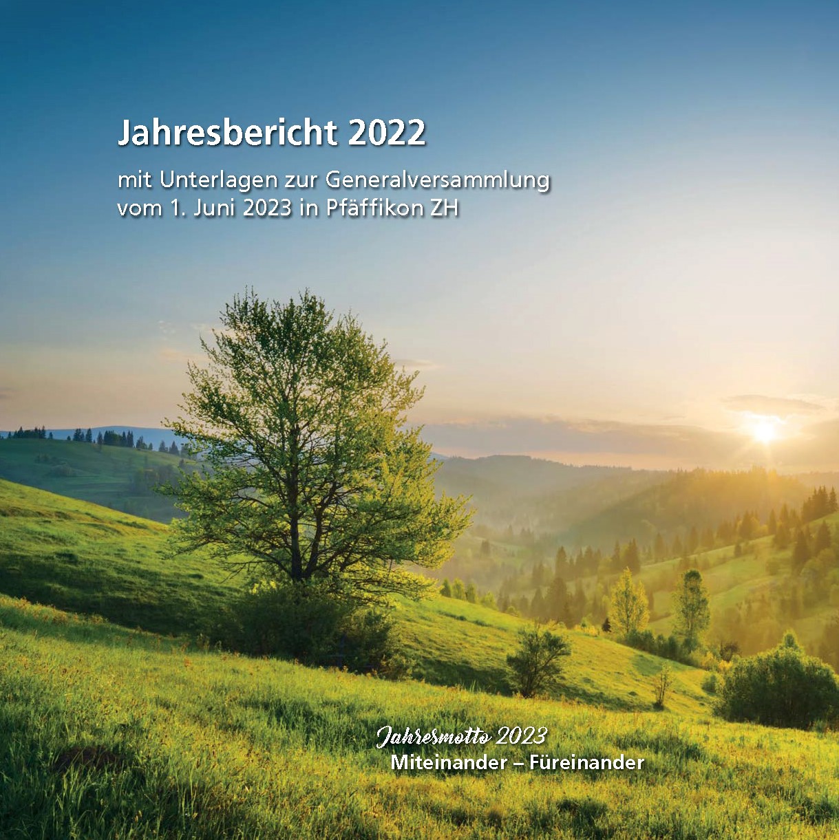 SGF Jahresbericht 2022