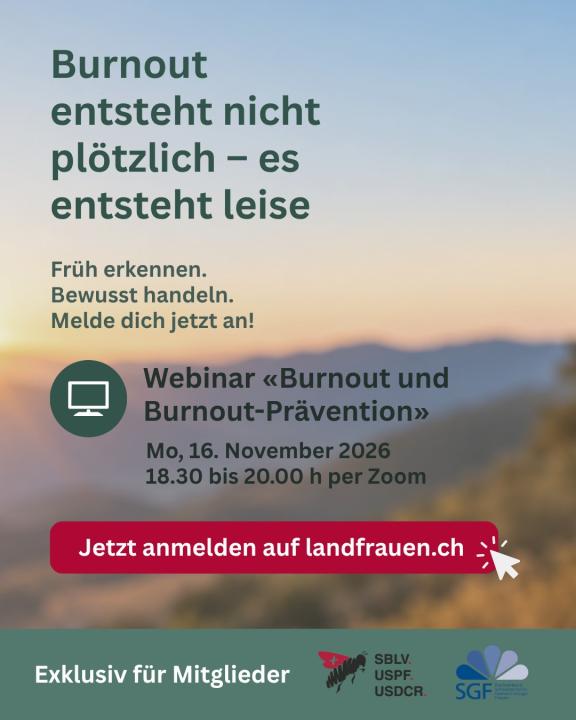 Burnout Webinar Fyler deutsch